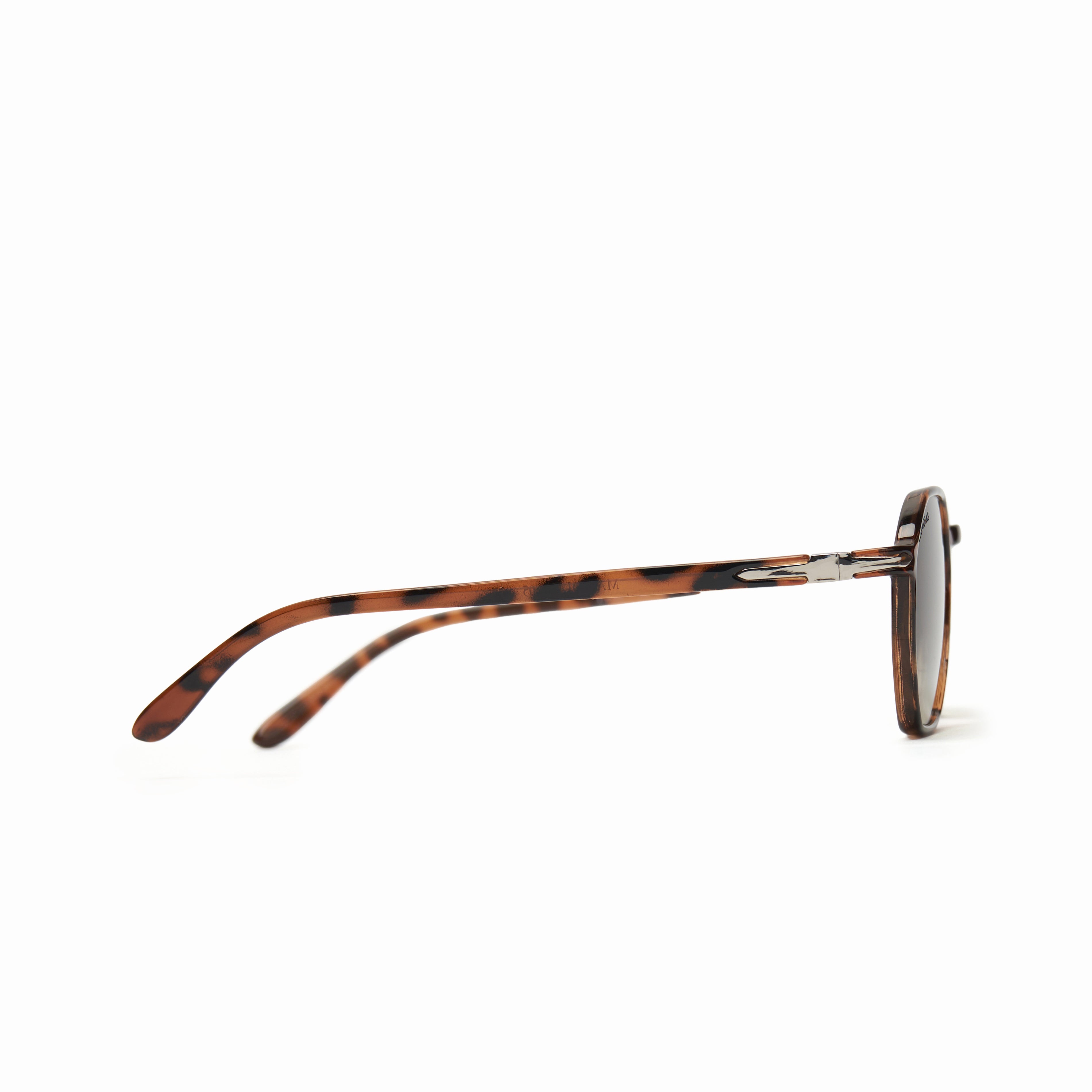 LEDA Tortoise | Green Gradient